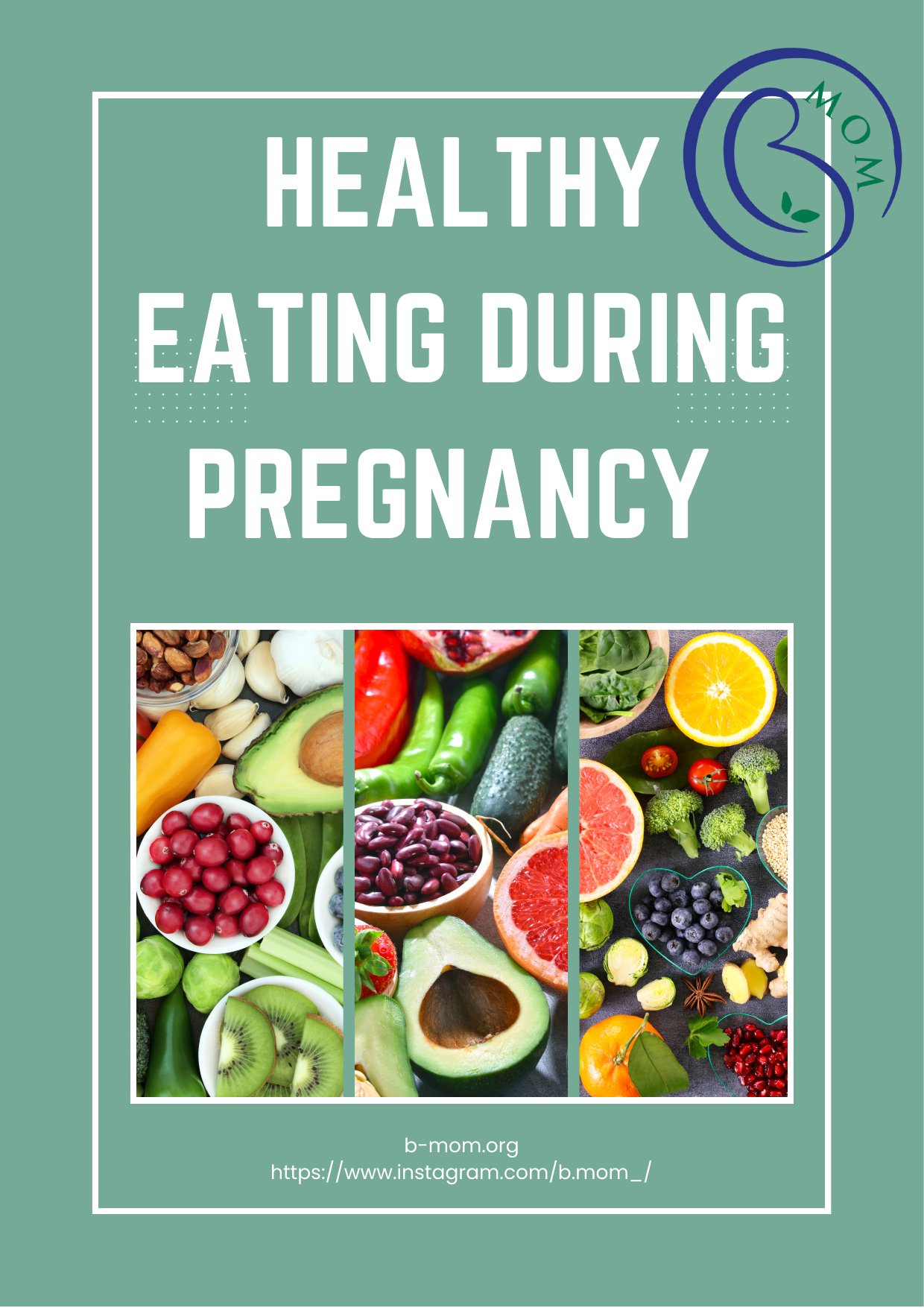 Healthy Eating During Pregnancy booklet cover