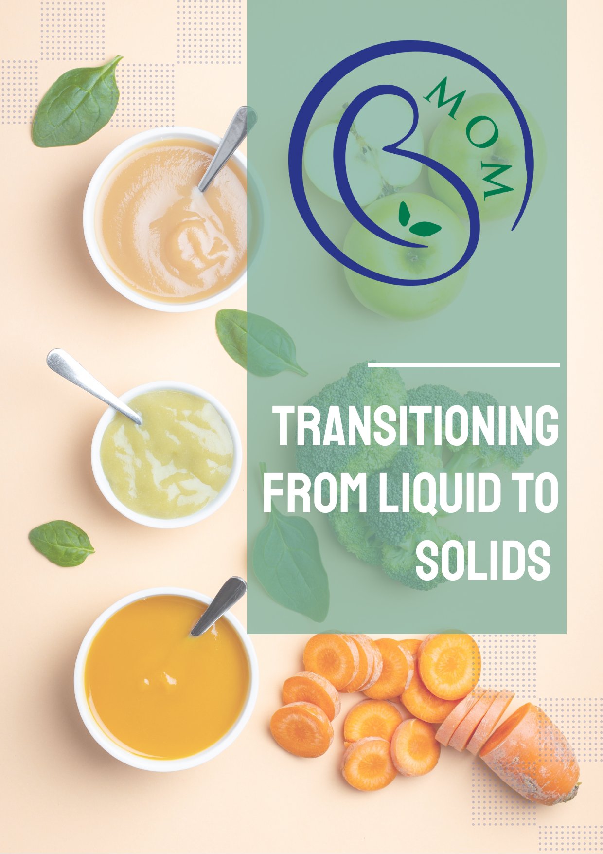 Transitioning from Liquid to Solids booklet cover